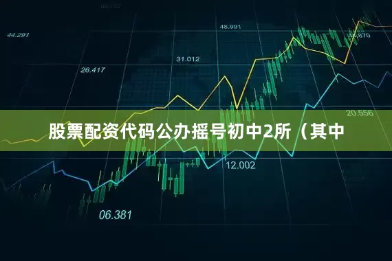 股票配资代码公办摇号初中2所（其中