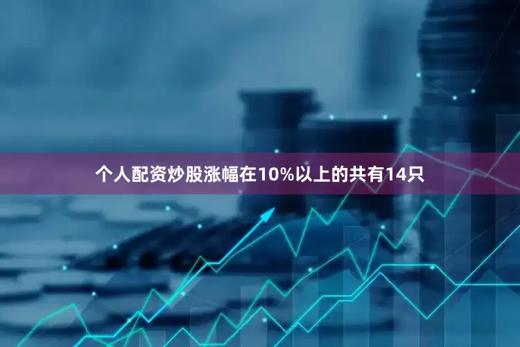 个人配资炒股涨幅在10%以上的共有14只