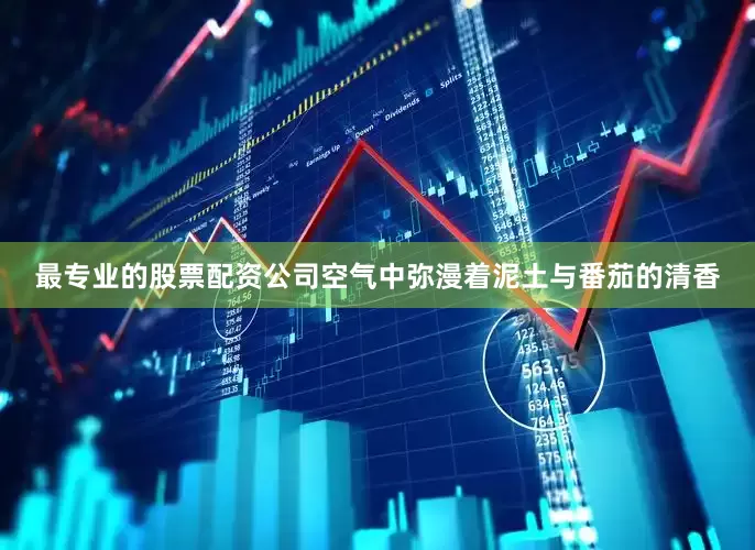 最专业的股票配资公司空气中弥漫着泥土与番茄的清香