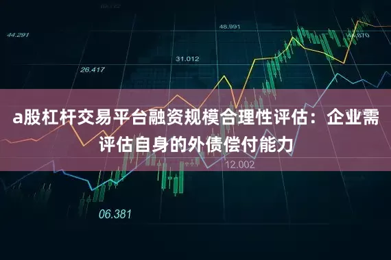 a股杠杆交易平台融资规模合理性评估：企业需评估自身的外债偿付能力