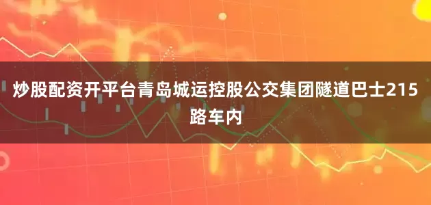 炒股配资开平台青岛城运控股公交集团隧道巴士215路车内