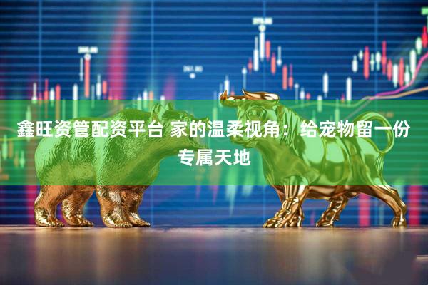 鑫旺资管配资平台 家的温柔视角：给宠物留一份专属天地