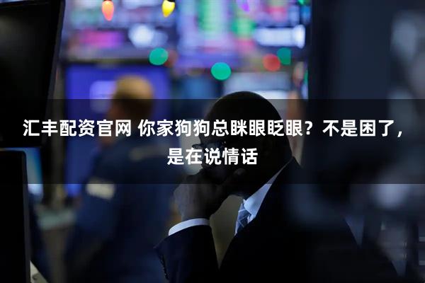 汇丰配资官网 你家狗狗总眯眼眨眼？不是困了，是在说情话