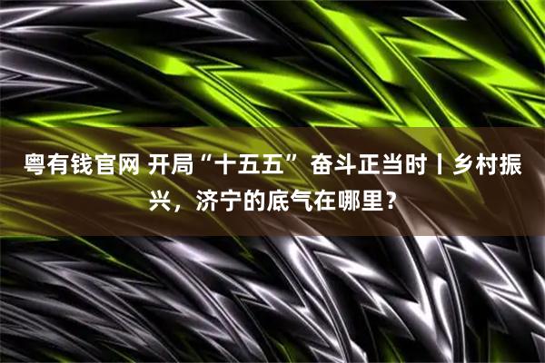 粤有钱官网 开局“十五五” 奋斗正当时丨乡村振兴，济宁的底气在哪里？