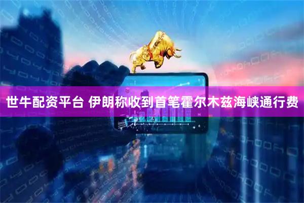 世牛配资平台 伊朗称收到首笔霍尔木兹海峡通行费